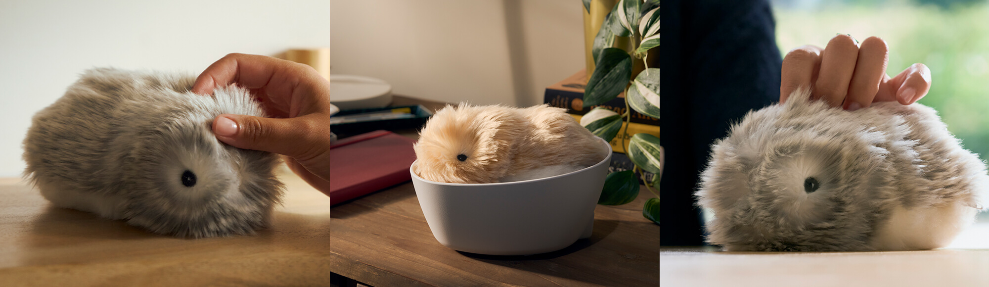 Moflin | Available Now